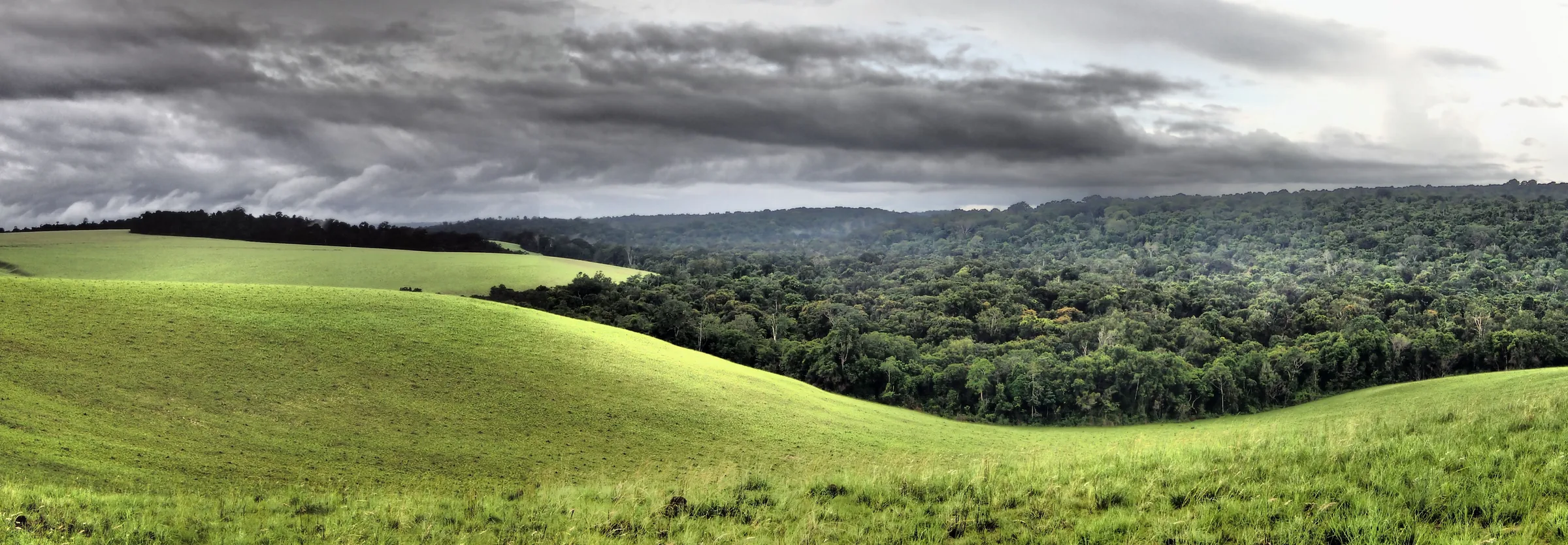 Rolling savanna meeting the edge of the rainforest under a stormy sky, Gabon